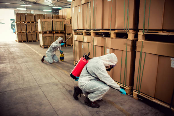 Best Emergency Pest Control  in Huntsville, MO