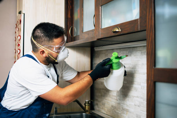 Best Pest Prevention Services  in Huntsville, MO