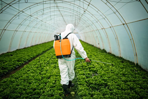 Reliable Huntsville, MO Pest Control Solutions