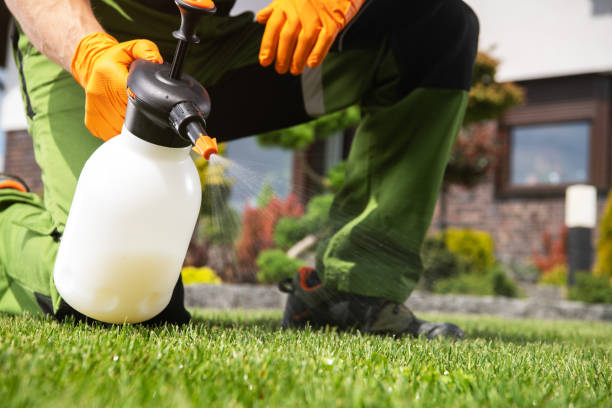Pest Prevention Services in Huntsville, MO