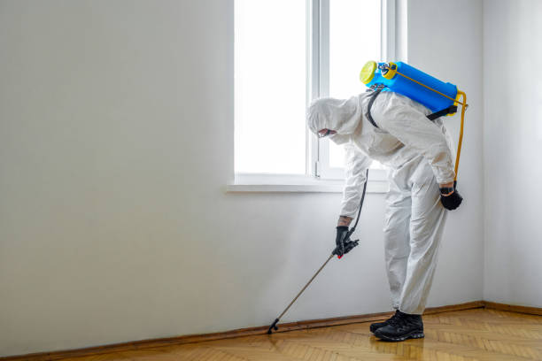 Trusted Huntsville, MO Pest Control Experts