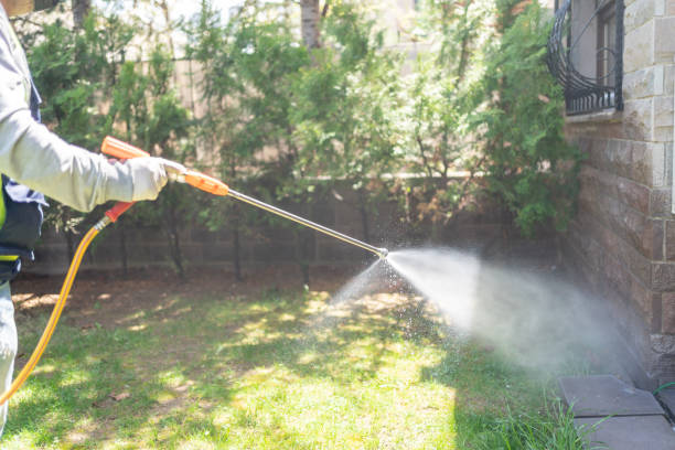 Best Wasp Removal Services  in Huntsville, MO