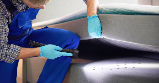 Best Emergency Pest Control  in Huntsville, MO