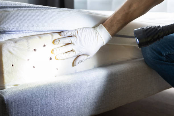 Best Exterminator Services  in Huntsville, MO