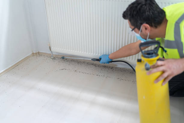 Best Best Pest Control Companies  in Huntsville, MO