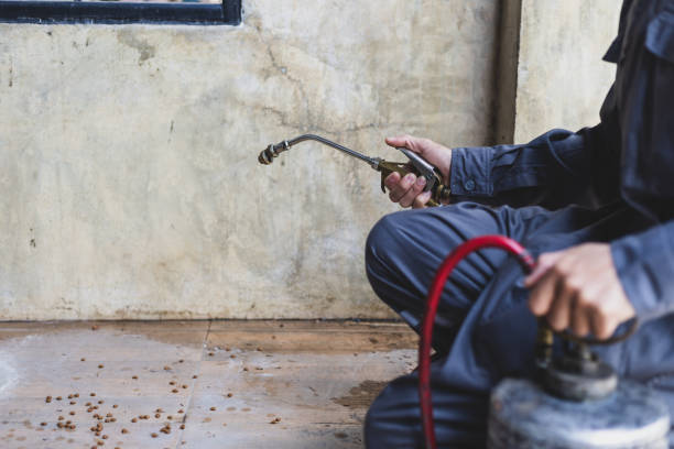 Best Emergency Pest Control  in Huntsville, MO