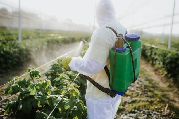 Best Exterminator Services  in Huntsville, MO